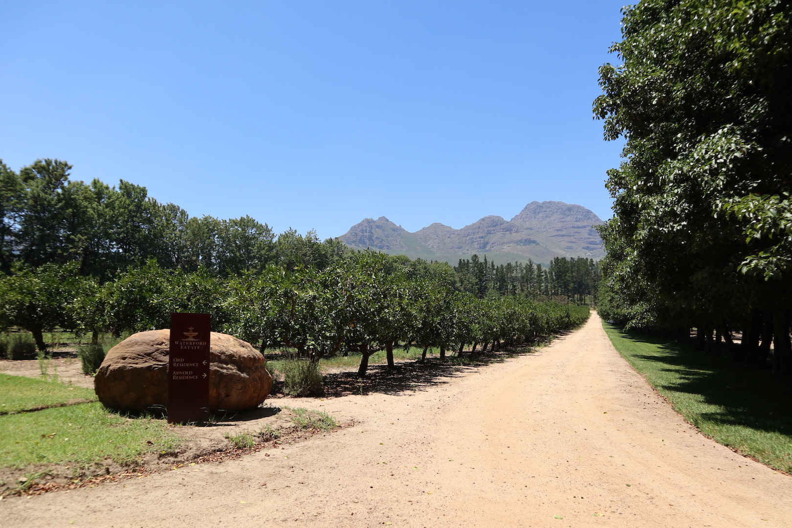 Waterford Orchard